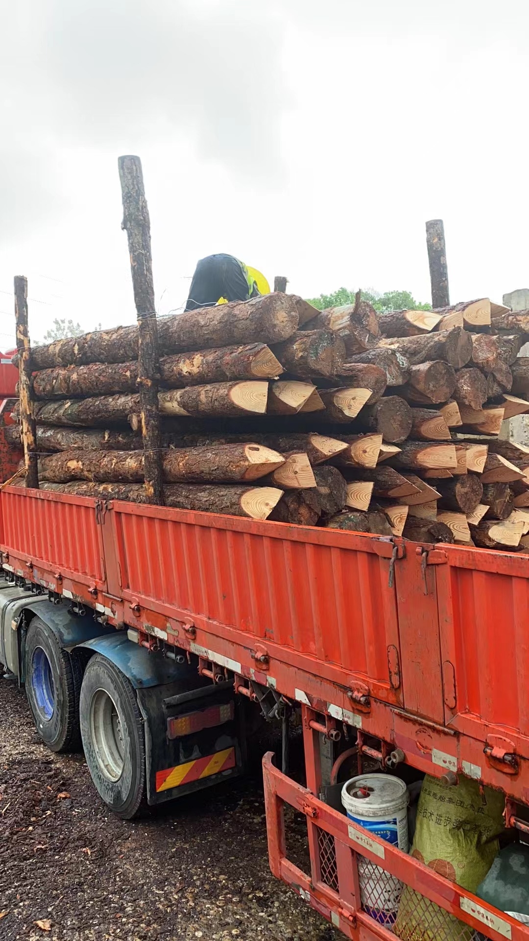 松木樁新手必備!快速掌握規范和要求