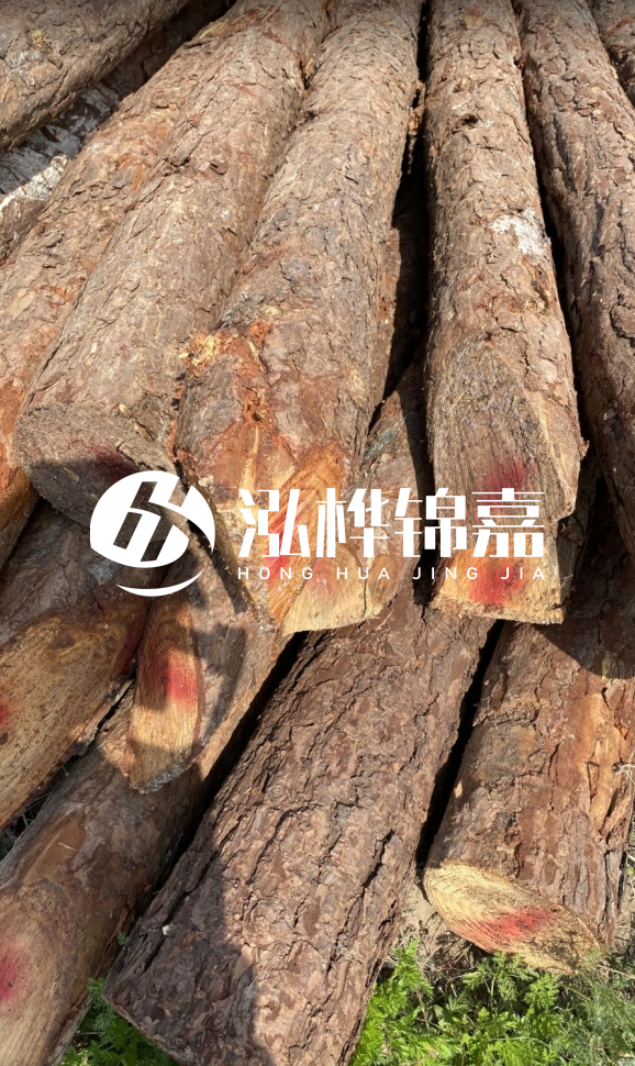 <strong>松木樁和杉木樁的用途區別？哪個更適合打樁用？</strong>