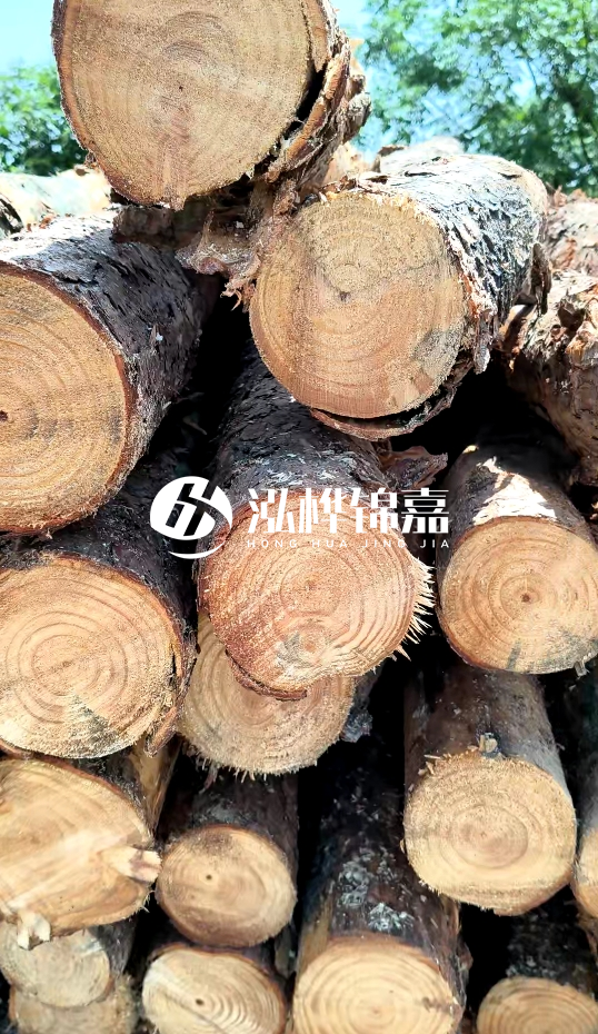 周口挖機(jī)打木樁專業(yè)施工-杉木樁施工打樁怎么打？