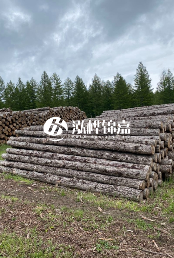 長沙松木樁源頭廠家-如何甄別松木樁打樁木的質量好壞？