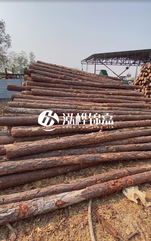 岳陽松木樁源頭廠家-河道木樁護岸能否抵御洪水沖擊？