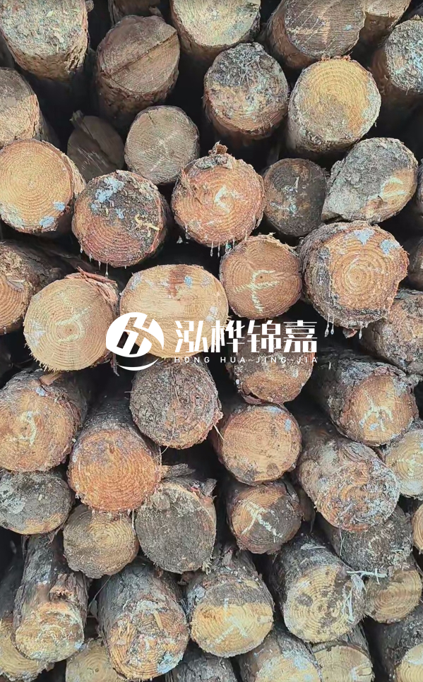 邵陽松木樁源頭廠家-松木樁護岸適合哪些地理環境？