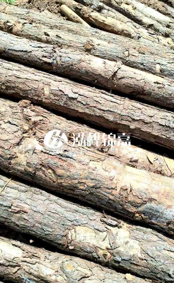 佛山松木樁源頭廠家-松木樁和杉木樁在河道治理中哪個更耐用？