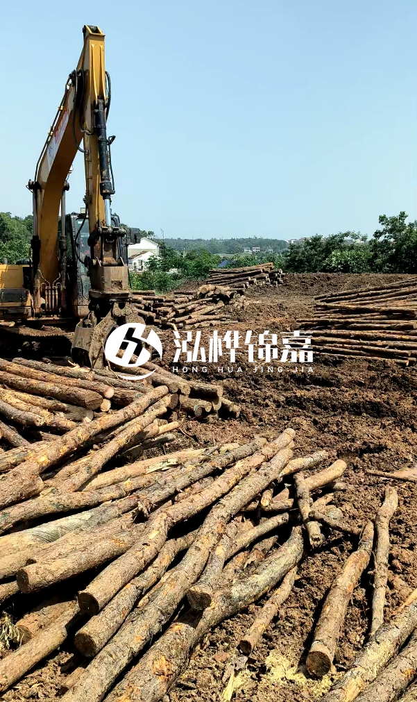 江門松木樁源頭廠家-河道木樁的防腐處理有哪些方法？