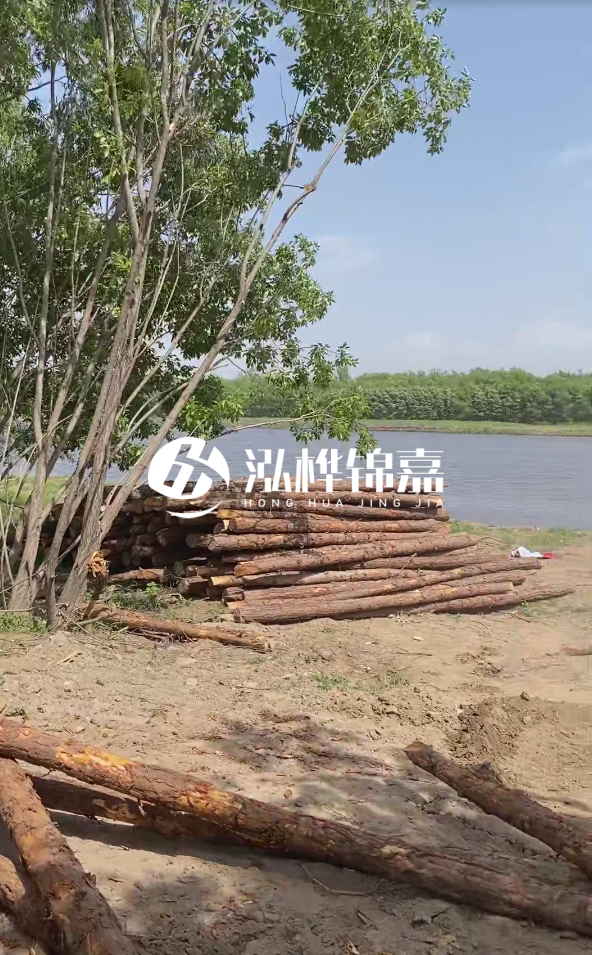 慶陽挖機打木樁專業施工-松木打樁過程中如何避免木材開裂？