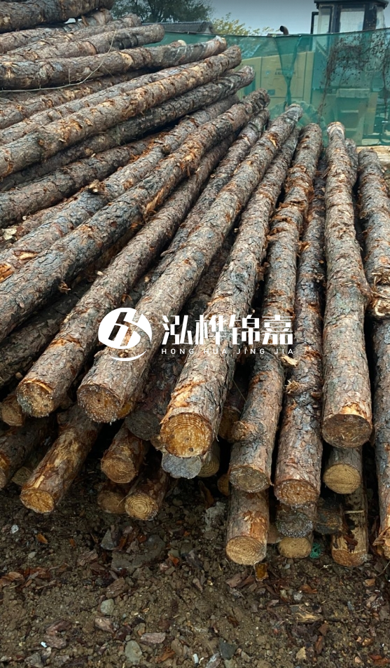 徐州松木樁批發(fā)源頭廠家-松木樁需要做防腐嗎？