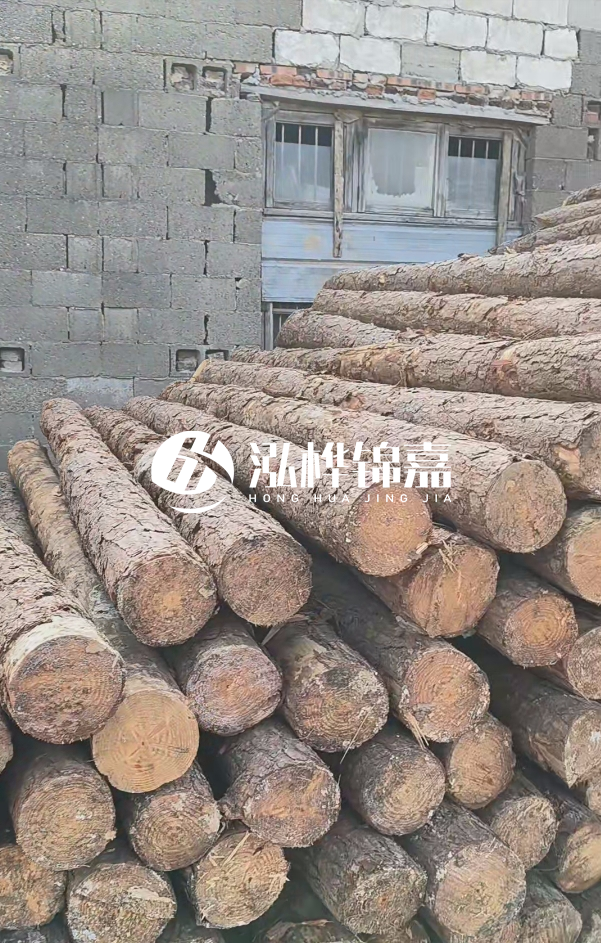 2025最新松木樁價格揭秘：松木樁一方到底多少錢？