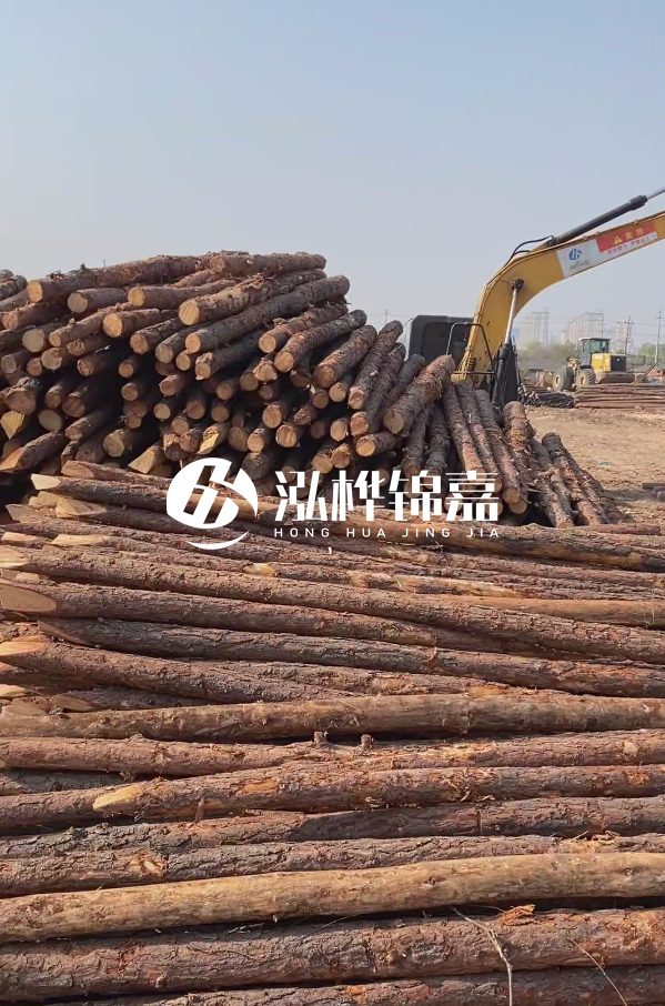 油松用于打樁木到底好不好？讓專業(yè)打樁隊告訴你！