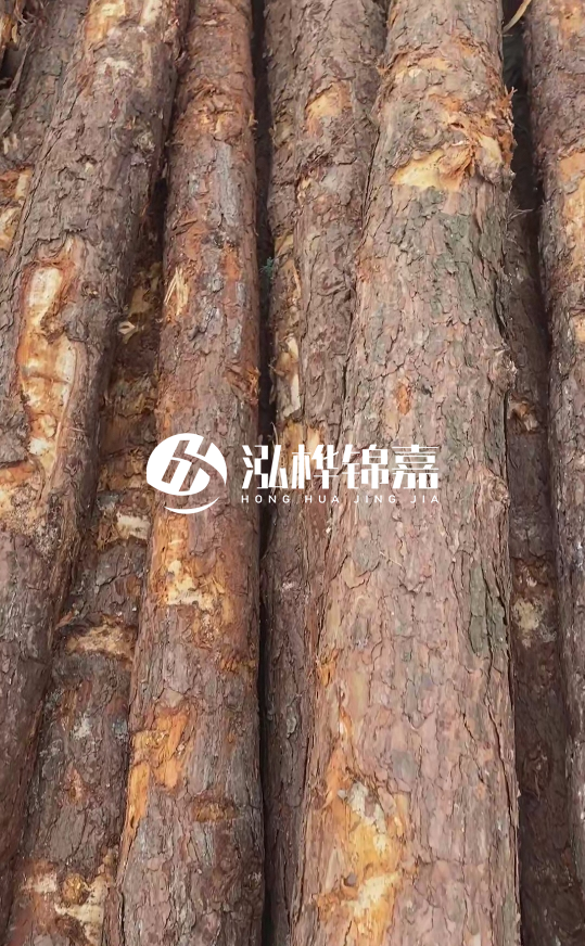 浙江地區(qū)大量供應(yīng)松木樁，源頭廠家在哪里？