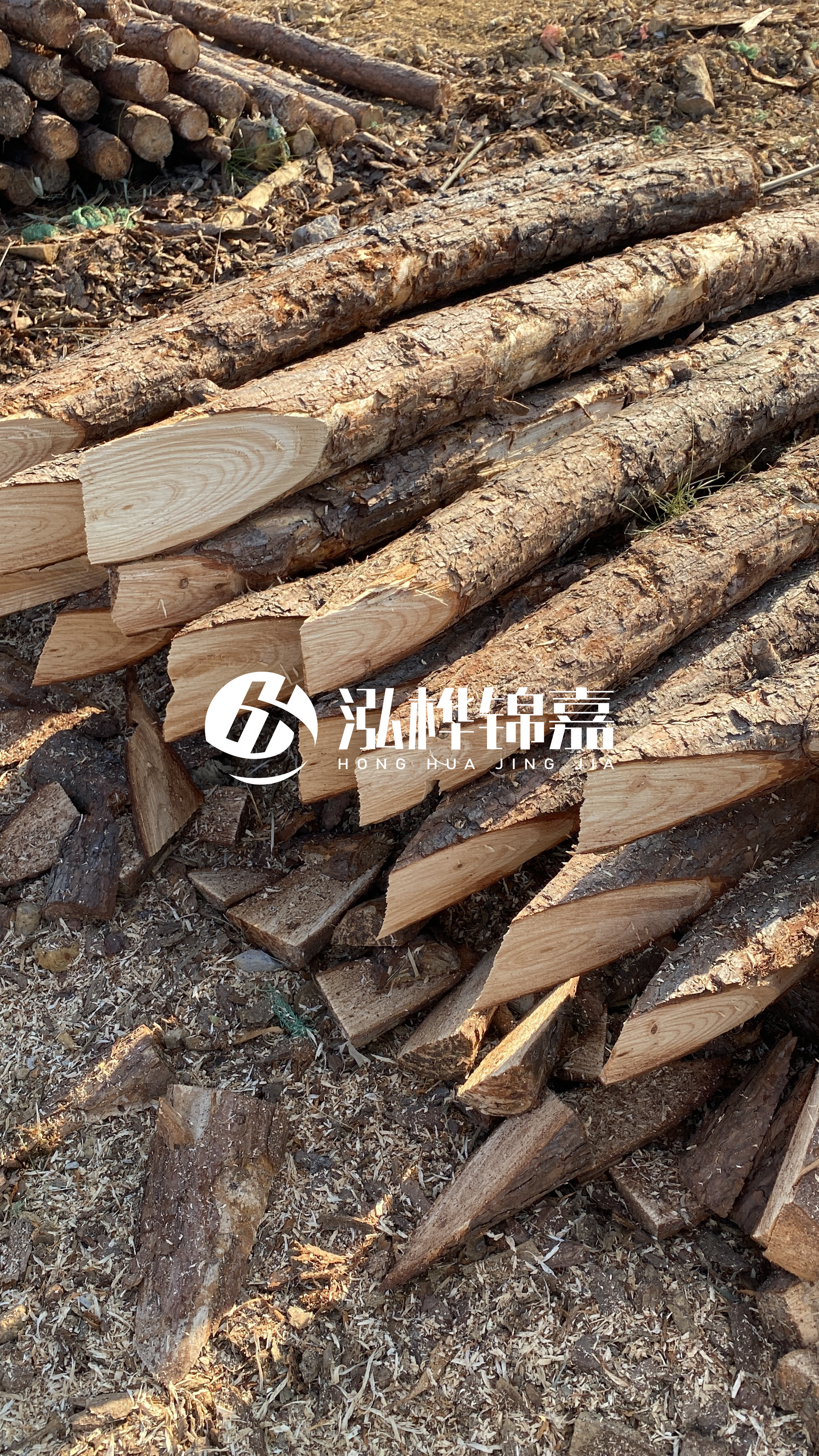 3米8公分松木樁價格是多少？市場最新報價大公開！