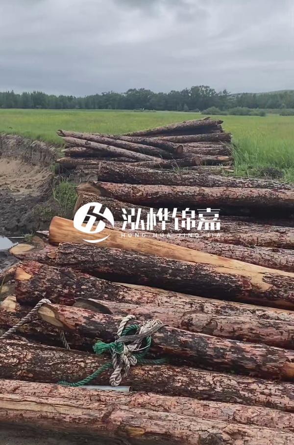 打樁木樁的選購標(biāo)準(zhǔn)是什么？材質(zhì)、尺寸與強(qiáng)度，哪些標(biāo)準(zhǔn)不能忽視？