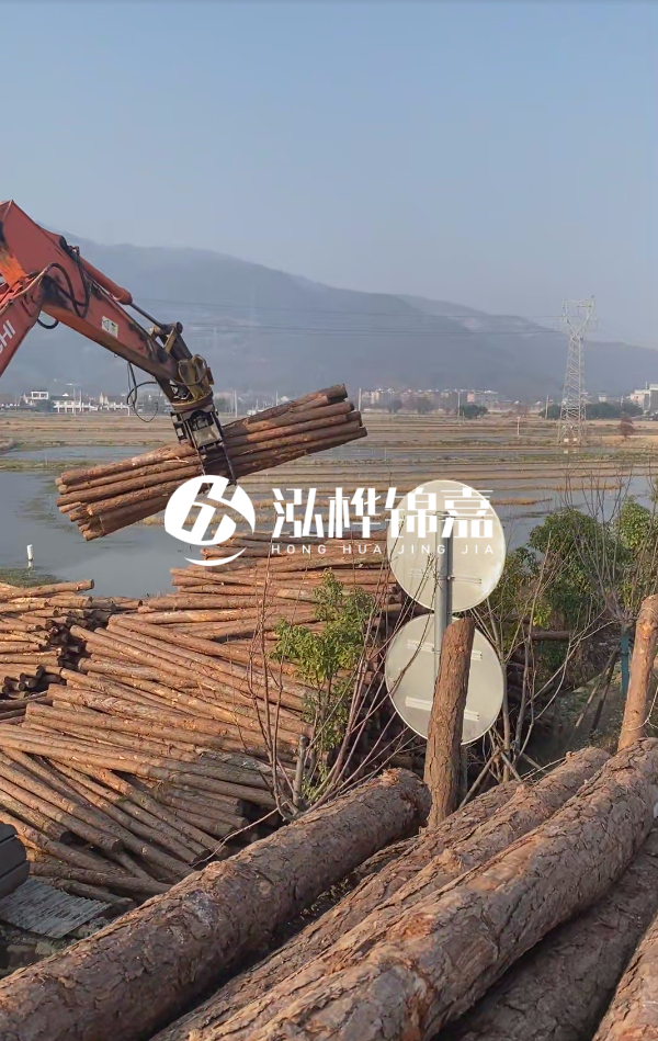 松木樁是否需要削皮呢？松木樁為什么不會爛掉呢？