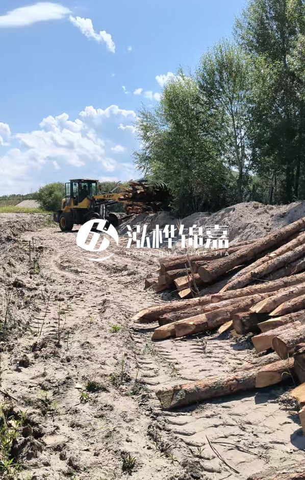 松木樁處理技術要求是什么-松木樁處理地基間距多少合適呢？