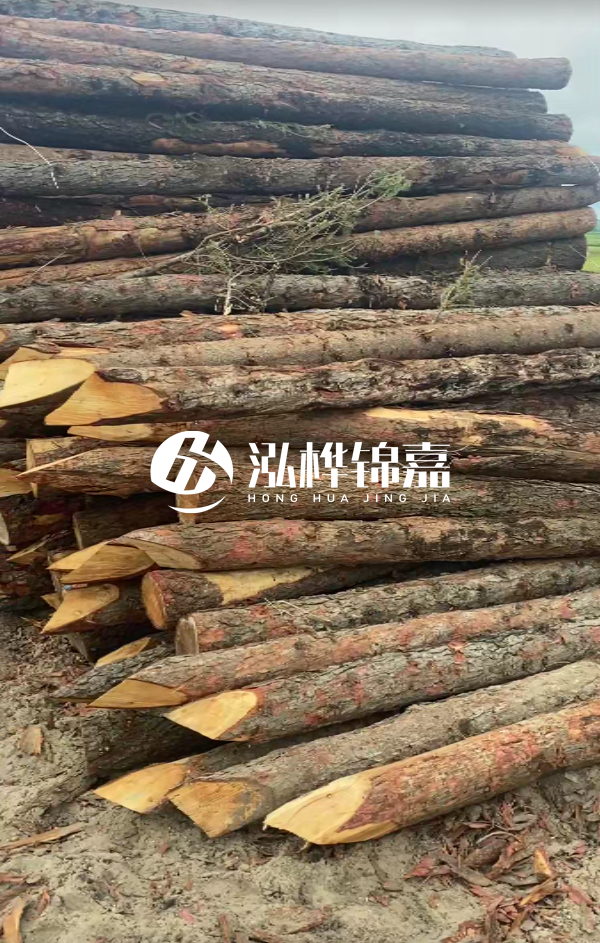 松木樁4米長尾徑14厘米價格是多少？一立方米有多少根？