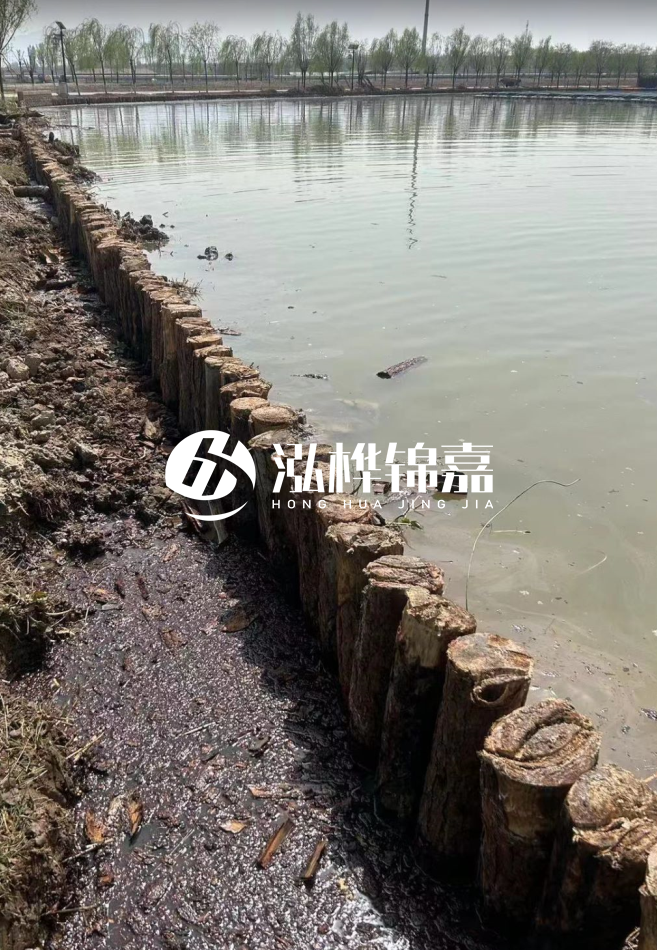 長沙松木樁批發市場在哪？廠家地址是多少？