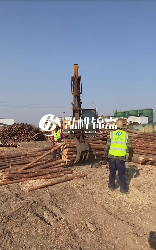 2025松木樁價格行情網(wǎng) | 實時報價/廠家直供/工程采購指南（附價格走勢圖）