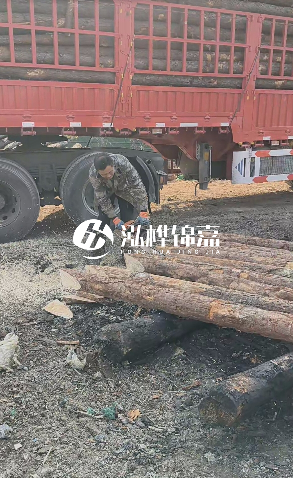 2米松木樁多少錢一根？15-20CM直徑價格是多少？