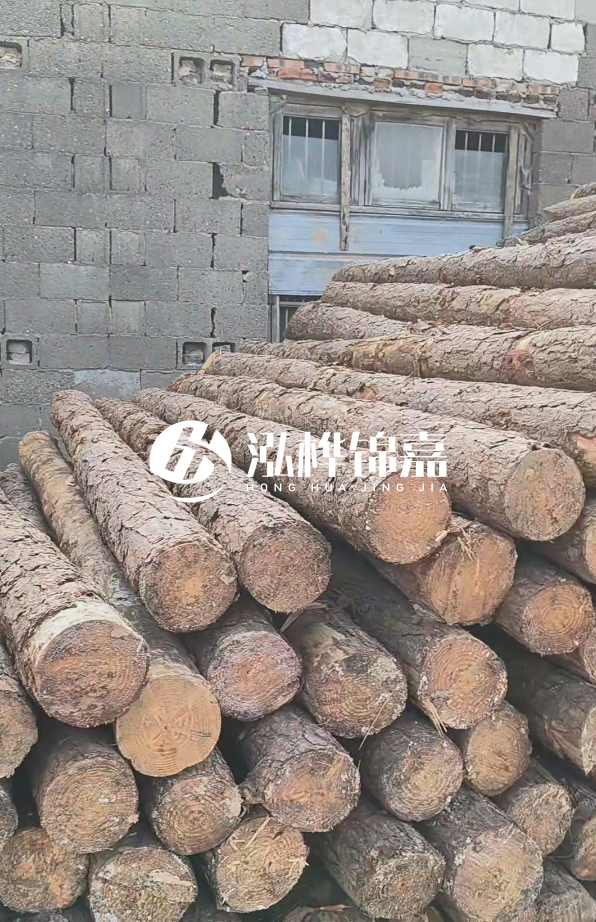 3米松木樁多少錢一根？14公分松木樁價格是多少？