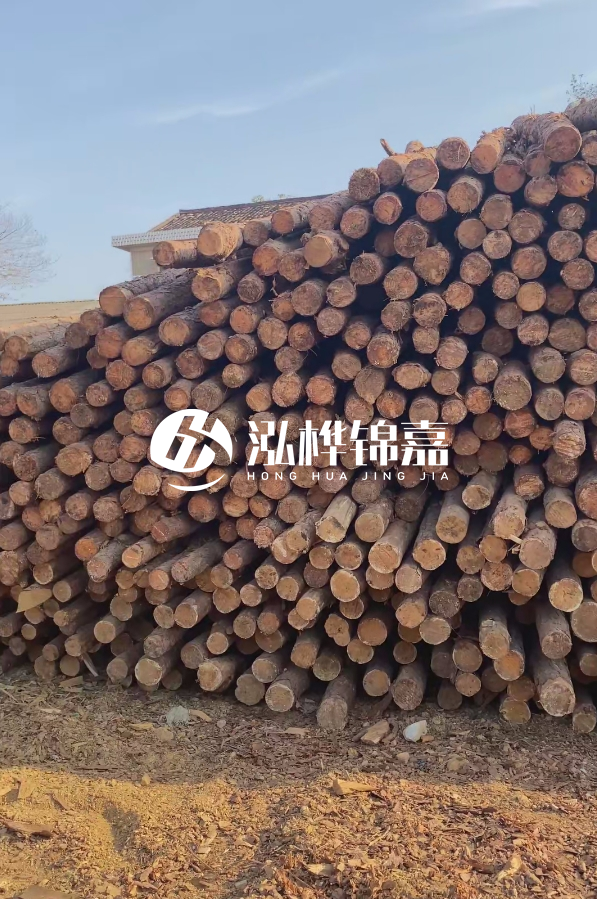 4米8-10公分松木樁大概多少錢一根？15公分價格又是多少？