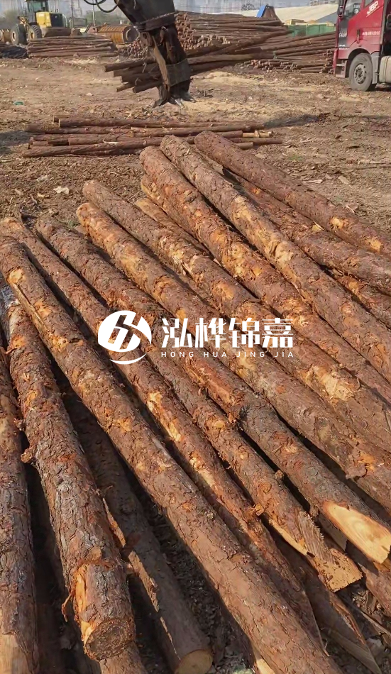 4.5米松木樁直徑14一根多少錢？5米14厘米多少錢？