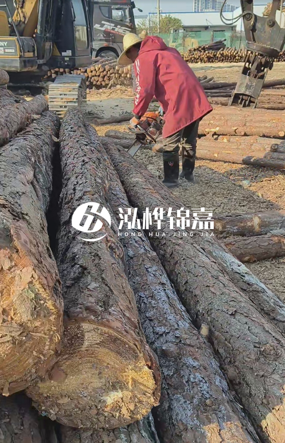 長沙打樁木批發廠家在哪里？聯系方式是什么？