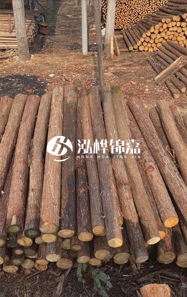 河道護坡選松木樁還是杉木樁？河道木樁一根多少錢？