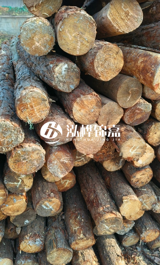 油松3米12公分多少錢一根？油松4米12公分多少錢一根？