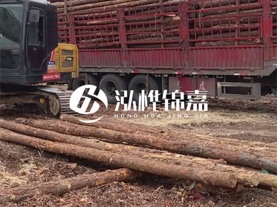 江西2米10-12松木樁多少錢一根？10-15公分價格又是多少？