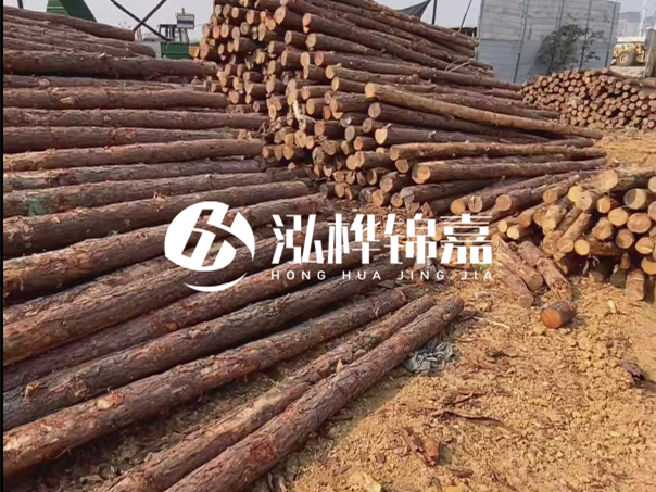 河道木樁施工遇到淤泥怎么辦？打多深才能防沖刷？