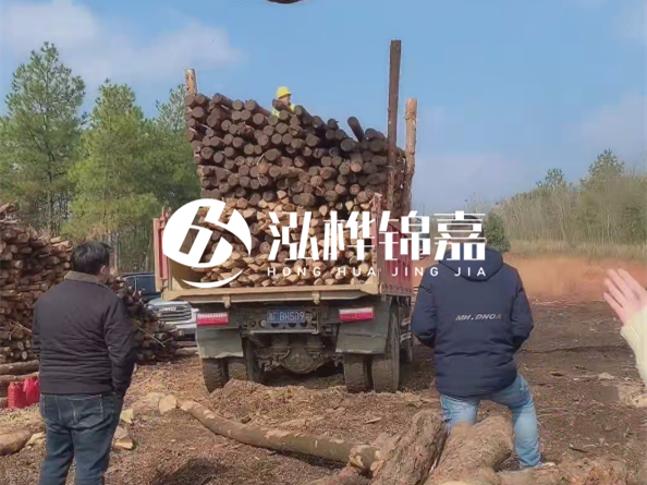 防腐木樁價格比普通木樁貴多少？防腐木樁有哪些處理方式？