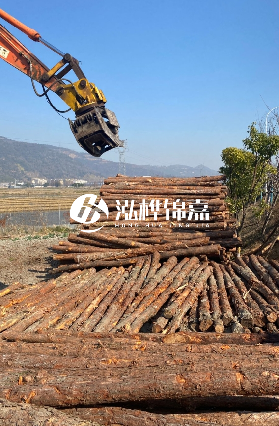 哪些廠家能定制 6 米松木樁？6 米松木樁做圍堰穩定性怎樣？