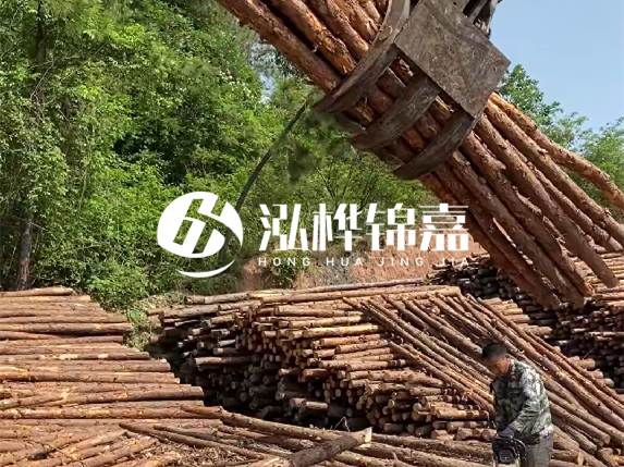 哪里能買到優質 3 米松木樁？長沙有松木樁批發工廠嗎？