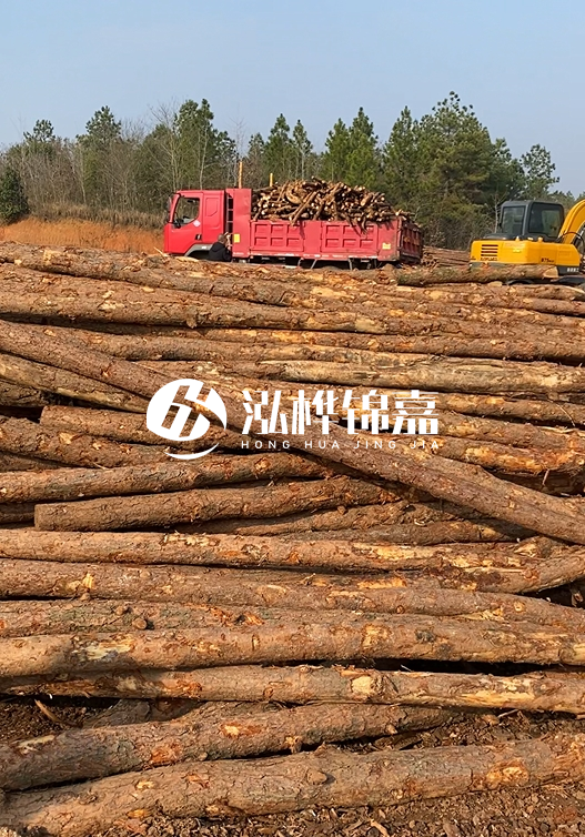 8米小頭11-13CM的松木樁價格是多少？打樁施工怎么算？