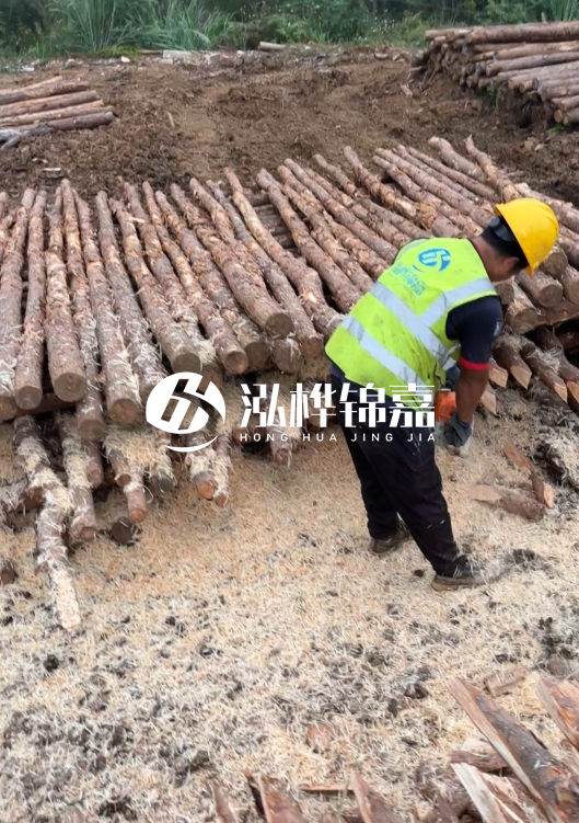 江蘇打樁木源頭廠家泓樺錦嘉-2.5米大頭10CM多少錢一根？