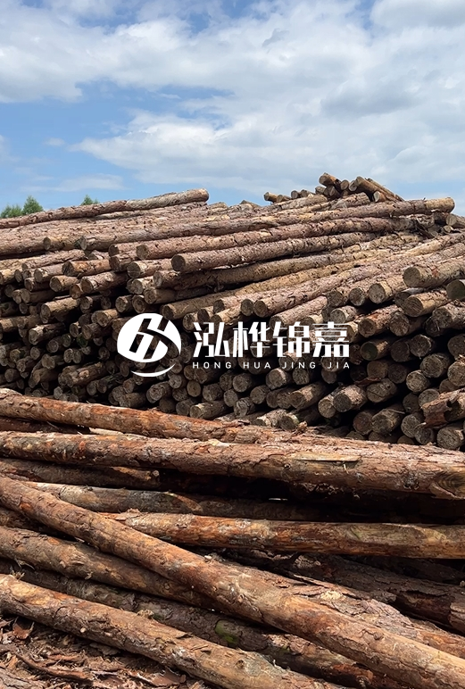 福建松木樁源頭廠家泓樺錦嘉-4.5米松木樁大頭15CM多少錢？