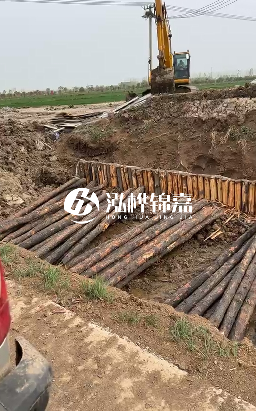 4米直徑12-13油松批發價最低多少？報價含稅含運嗎？