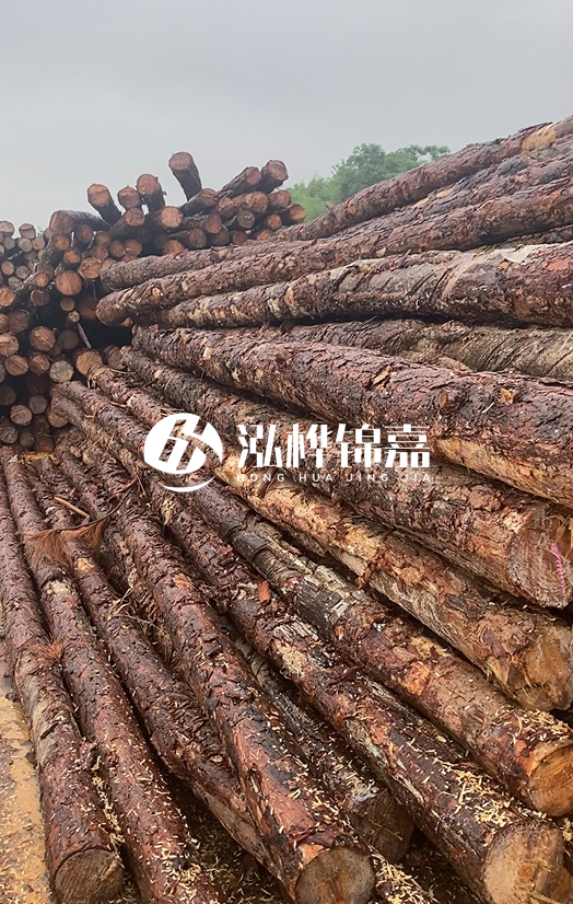 購買松木樁注意事項有哪些-不同直徑松木樁區別有哪些?