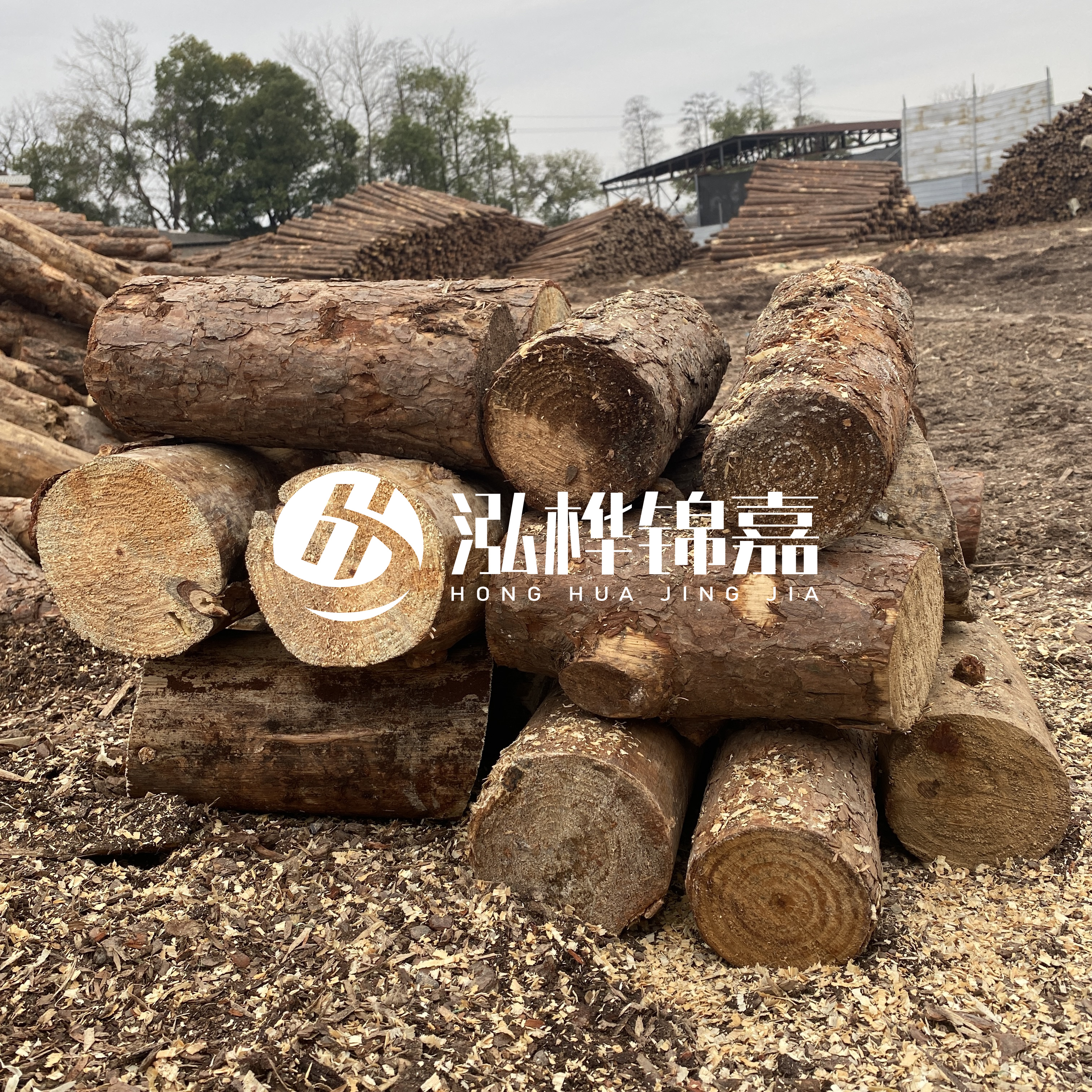 打樁木邊角料能做什么用途？怎么賣的？