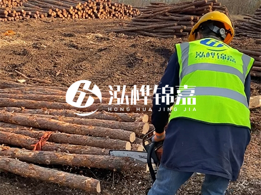 哪些木樁廠家能提供快速定制服務？哪些木樁廠家在國內有多個生產基地？