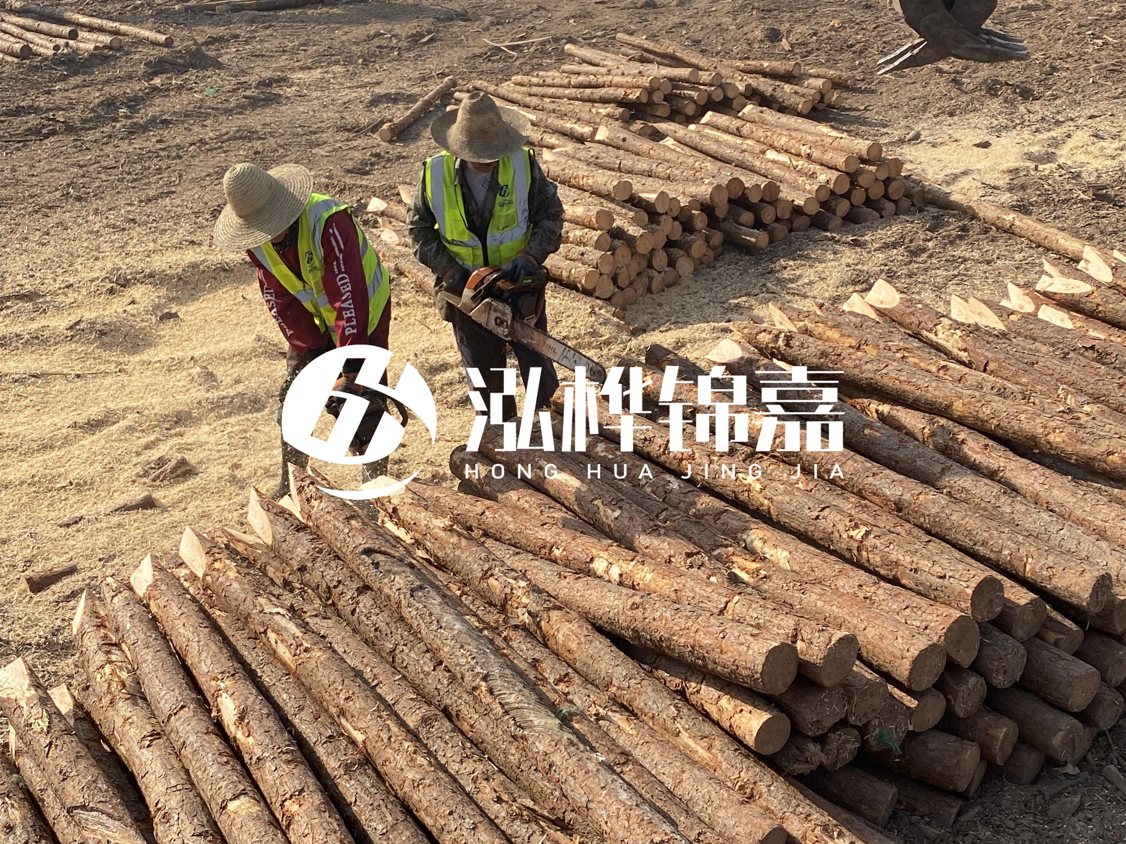 河北打樁木廠家主要生產哪些材質的打樁木？產品有哪些規格？