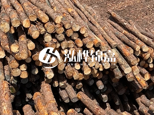 江西有哪些松木樁生產廠家？松木樁廠在什么位置？