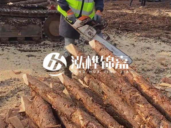 松木樁河道護坡怎么施工？打樁多少錢一根？