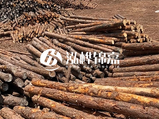 浙江打樁木源頭廠家泓樺錦嘉-松木廠家批發電話地址？