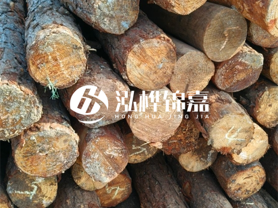 廣東松木樁源頭廠家地址在哪里-泓樺錦嘉屬于什么檔次？