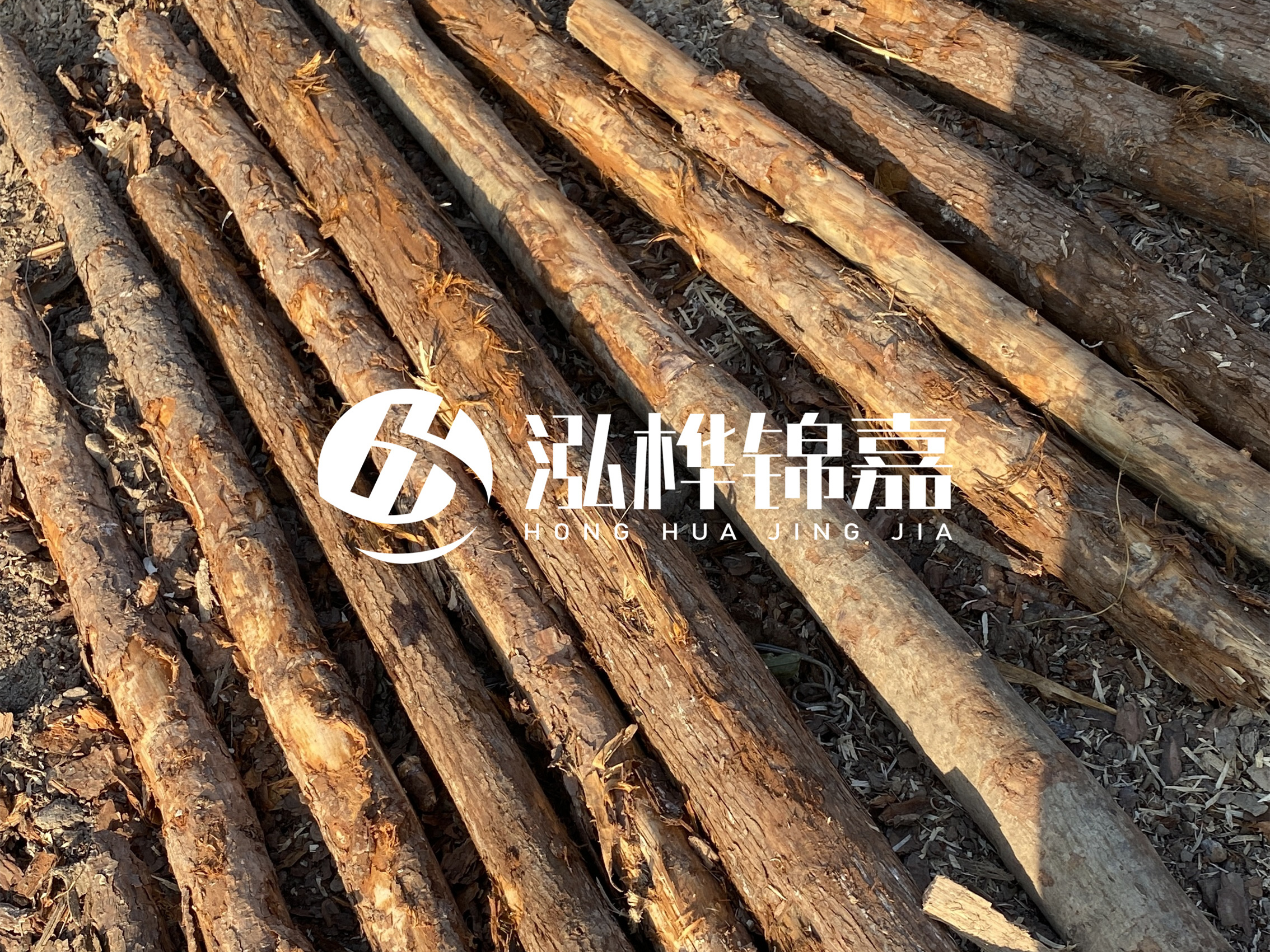 河道木樁多少錢一根？河道木樁的使用以及保養(yǎng)方法?