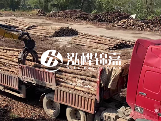 四川松木樁廠家泓樺錦嘉-哪一種打樁木最便宜？