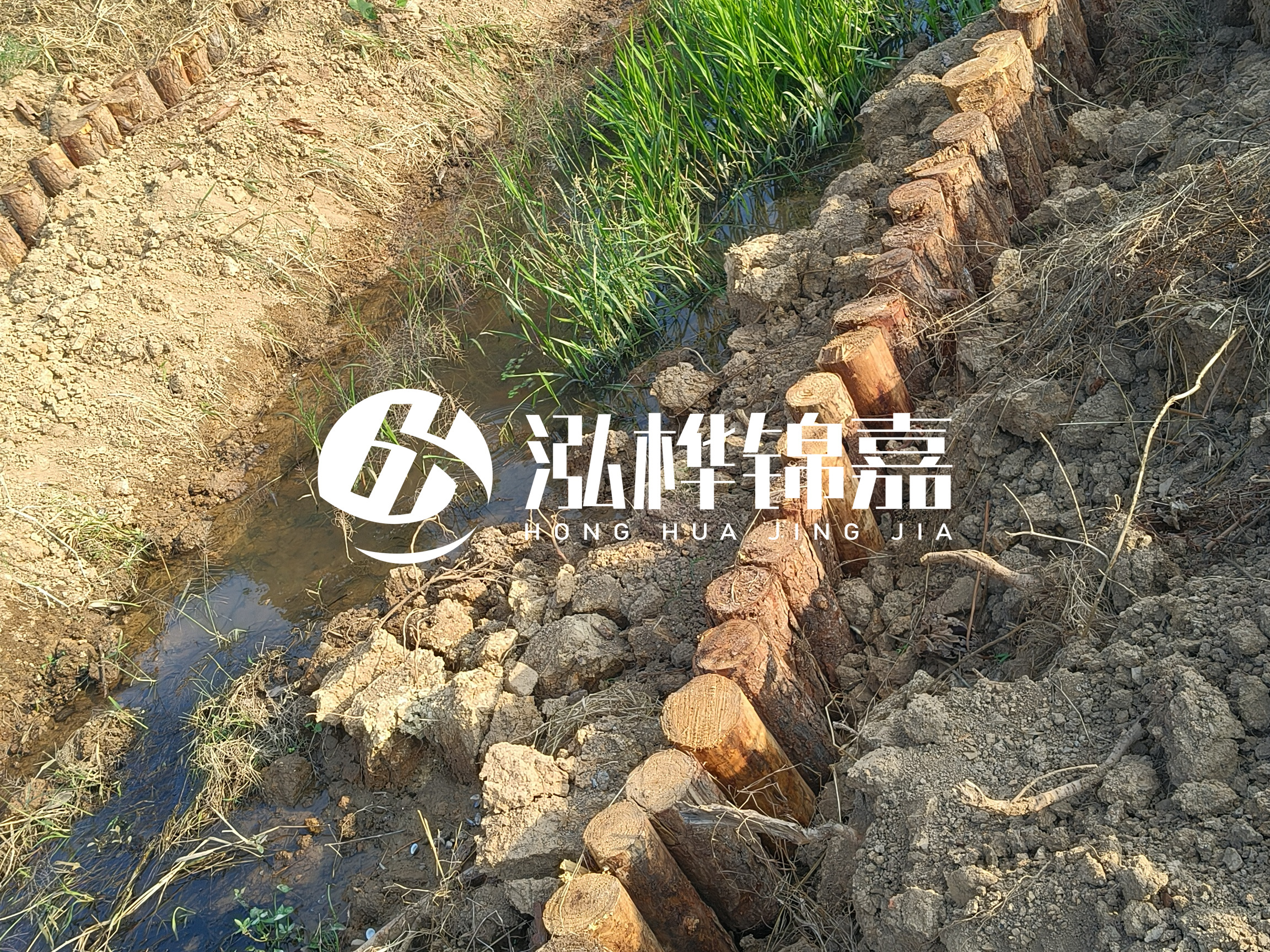 松木樁批發廠家泓樺錦嘉-樁間距指的是什么間距？