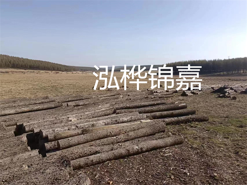 鄂州松木樁哪里好？推薦泓樺錦嘉松木樁業！